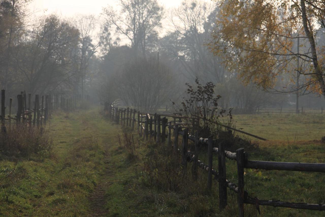 Gospodarstwo Goscinne Racibor Swietajno  Exterior foto